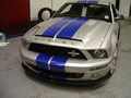 Mustang Super Snake with our Paint Protection Film applied